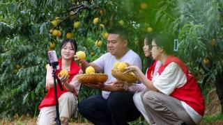【高清组图】贵州玉屏：青年志愿服务助果农直播销售黄桃