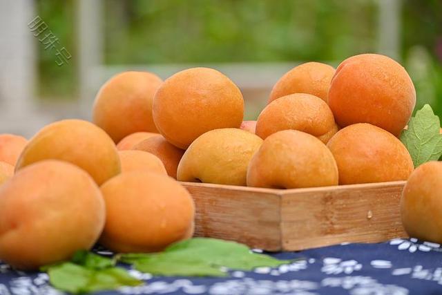 夏季吃杏的话，对于肝脏又是好是坏呢？会不会对肝造成影响呢