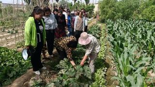 新疆若羌：开展蔬菜种植技术培训