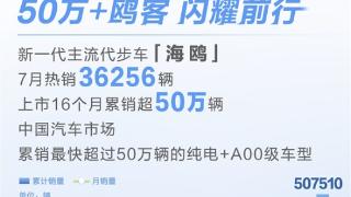 纯电A00级小车最强选手！比亚迪海鸥上市16个月销量超50万