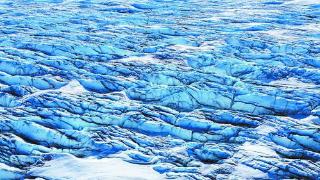 格陵兰冰盖现巨型病毒