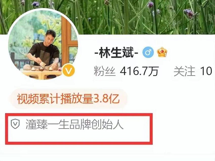 林生斌注销“潼臻一生”公司，带全家移民，网友辣评：装都不装了