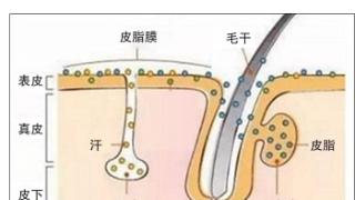 “以油养肤”有讲究