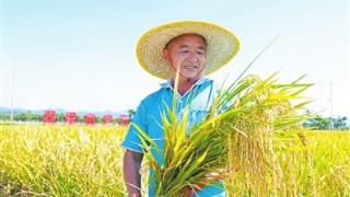 田野欢歌话丰年