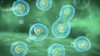 细胞活性实验：影响细胞活性的因素有哪些