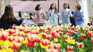 韩国爱宝乐园举办郁金香节