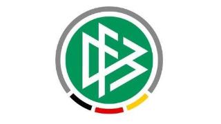 踢球者：德国足协计划提高VAR决策的透明度