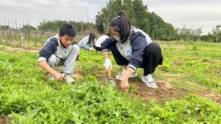 郑州市金水区第二实验小学开展“了不起的实验少年”六一文化周综合素质展示活动