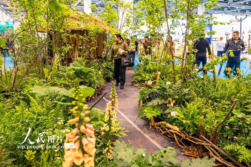 江苏苏州：2024花园大会暨国际花园设计周开幕