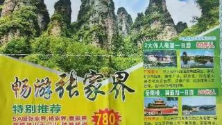 参团游遭甩客？游客称咨询“国旅”却和“中旅”签约，带团的又是另一家