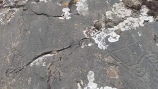 距今3000多年！青海新发现一处罕见岩画群