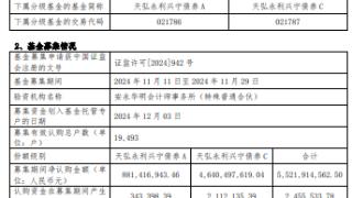 天弘永利兴宁债券基金成立 规模55.2亿元