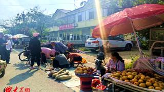 庆丰收 赶大集 看大戏 曹县郑庄街道推出“品味套餐”