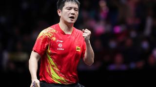乒乓球奥运会：8月1日赛程揭晓，国乒对决张本智和，争霸男单四强