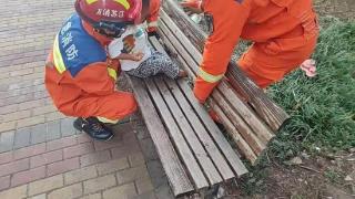 三岁男童脚被卡长椅缝隙，消防紧急救援
