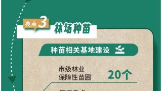 重庆林业展厅人气火爆 这些亮点别错过！