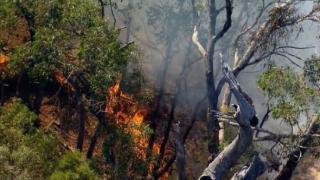 澳大利亚一飞机坠毁后引发丛林大火 机上2人死亡