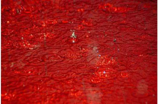 自然界奇异的现象，血红色的雨水，到底是怎么形成的？