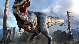 为什么像霸王龙这样的大型食肉恐龙，却有着非常可笑的小手臂？