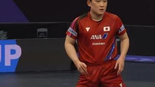 张本智和4-0横扫夺冠！林高远苦主无缘一黑到底，日本3冠力压国乒