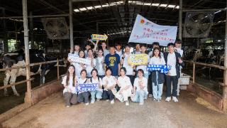 奶牛生态园里的青春梦想：“浙疆红·山海情”实践队以实际行动推