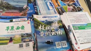 滨州暑期短程游订单翻番 旅行社周订单超千人