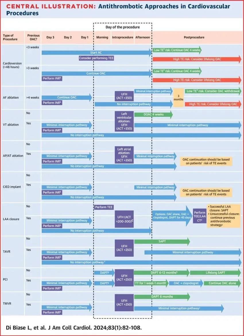 各类心脏介入手术，如何抗栓？JACC综述实用总结