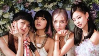 YG删除BLACKPINK个人介绍页面 仅保留组合介绍页面