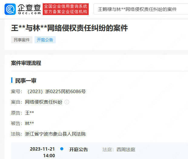 王鹤棣起诉黑粉案新进展 将于11月21日开庭