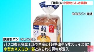 日媒曝日本切片面包中混入异物 疑似老鼠