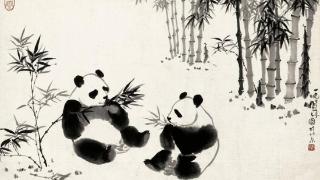 今年夏天 到成都东部新区看吴作人熊猫画展