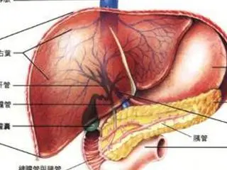 不管男女，每天睡前这样抬脚15分钟，2个月后会有明显的变化