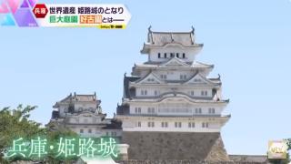 日本姬路城考虑将外国游客门票提价4倍 本地人维持原价