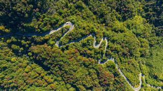 江西湖口：铺就山村致富路