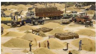 多个国家宣布禁止大米出口 最不发达国家面临粮食安全考验