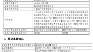 鹏扬中债0-3年政金债指数成立 规模43.5亿元