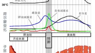 月经后出血是怎么回事？医生解答