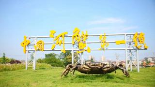 把“一只蟹”变成“一桌菜”，这个“中国河蟹第一镇”有了新动作