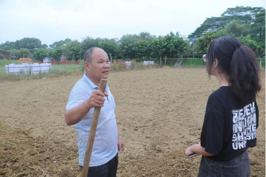 博罗有个药“稻”病除实践团