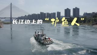 微视频|长江边上的“护鱼人”