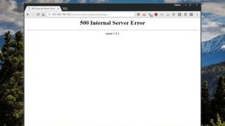 Nginx 500 内部服务器错误排查指南