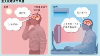 为什么天气一热就会感到全身慵懒、疲倦无力？