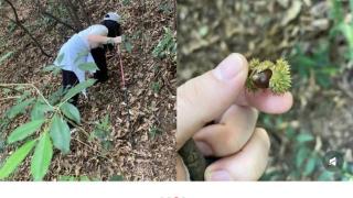 户外登山时一定要做好路线规划不要涉足未开发的区域