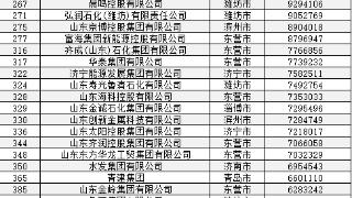 110万亿！2024中国企业500强发布 潍坊市6家上榜