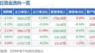 节能风电（601016）12月20日主力资金净卖出2843.23万元