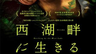 吴磊蒋勤勤《草木人间》曝日版海报，9月27日在日本上映