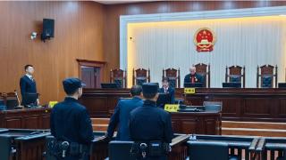 通道侗族自治县人民法院公开审理一起非法捕杀毛冠鹿案件