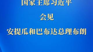 习近平会见安提瓜和巴布达总理布朗