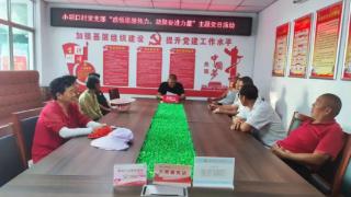 凝聚奋进力量，刘楼镇各基层党组织开展主题党日活动