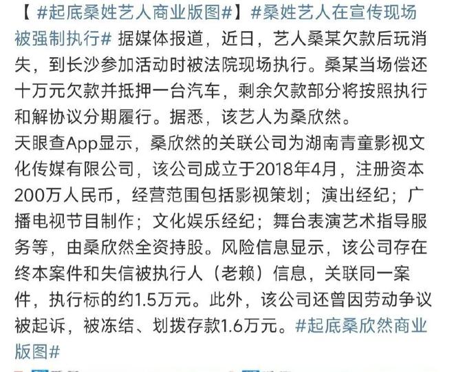 桑欣然欠钱不还，被现场强制执行